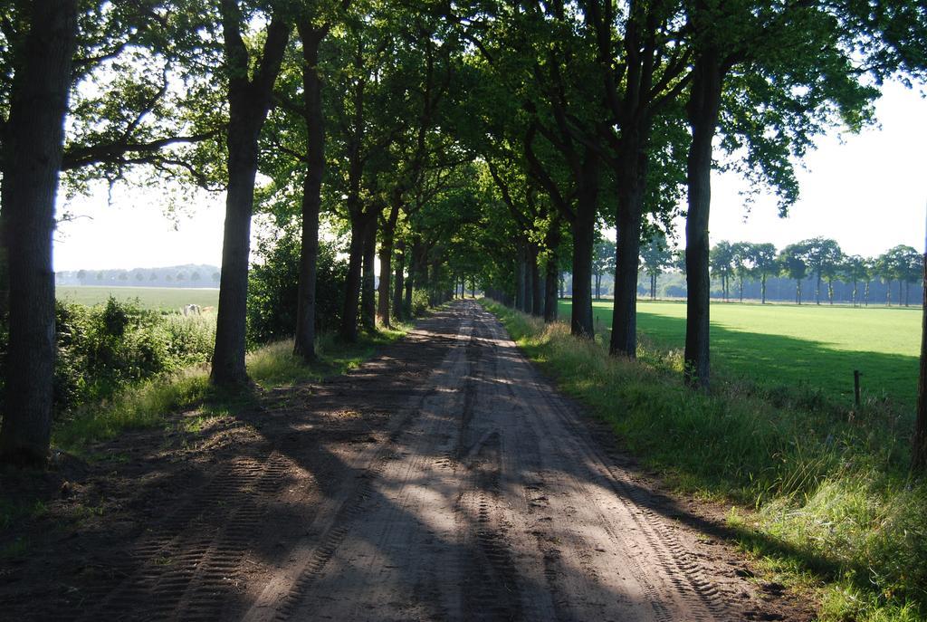 Bitter En Zoet Otel Veenhuizen Oda fotoğraf
